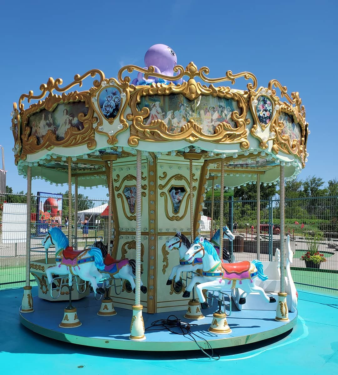 Amusement Park Carousel rides