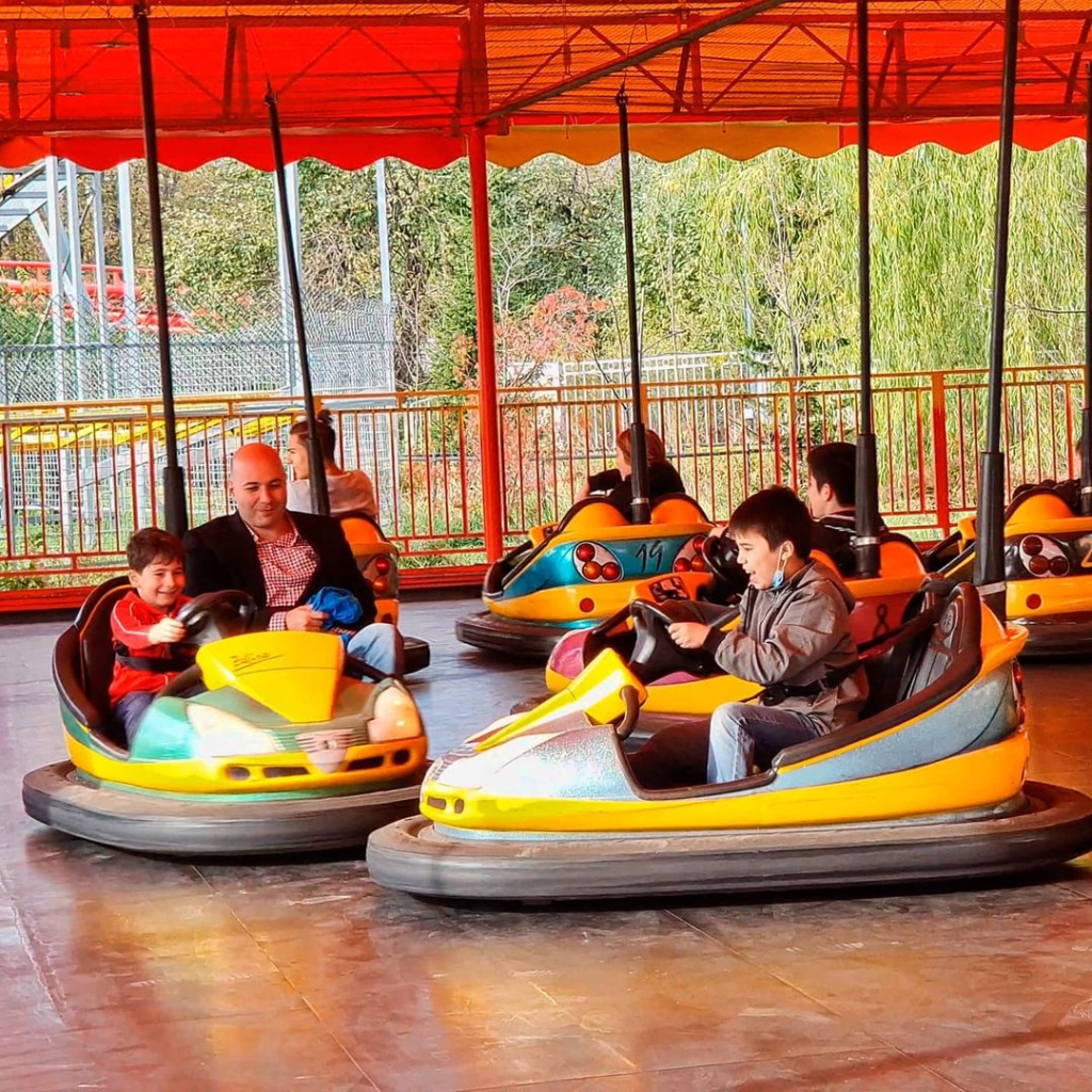 Buying Chinese Bumper Car Rides