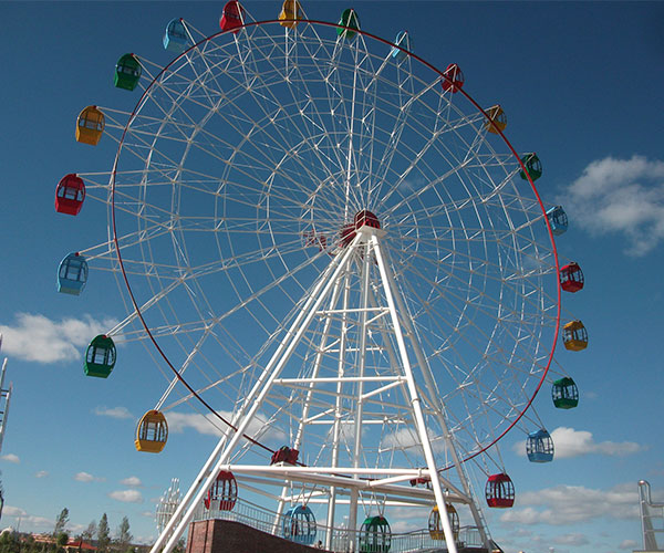 ferris wheel for park